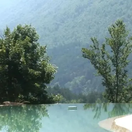 Romantic-louveteaux-en-provence****