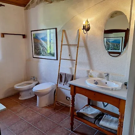 Romantic-louveteaux-en-provence****